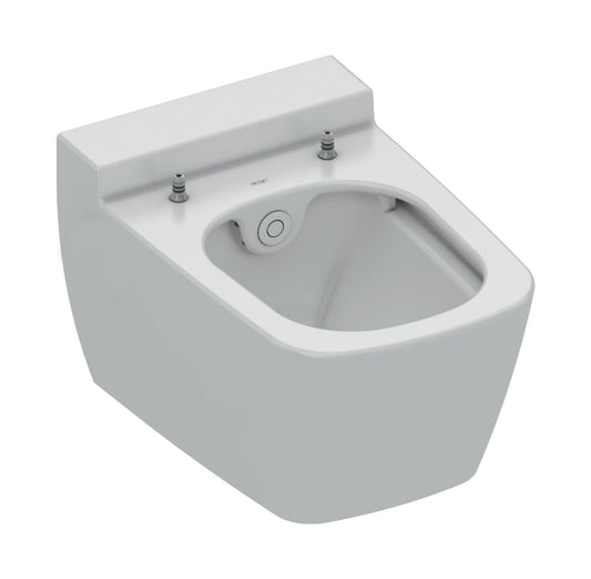 Teceone WC Met Douchefunctie Koud Water Belgaqua - Luxurysanitair