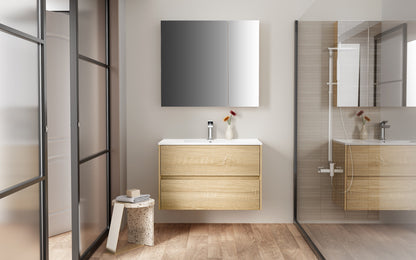 ALONI HAYAT WASTAFELONDERKAST - 2 LADES - SOFTCLOSE - GREEPLOOS - 79,5X50X45 CM - EIK
