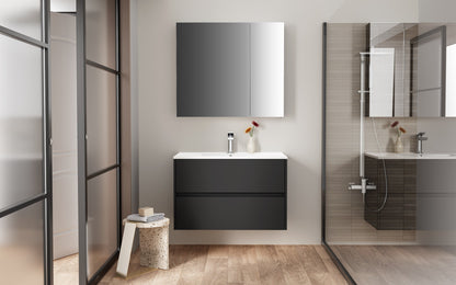 ALONI HAYAT WASTAFELONDERKAST - 2 LADES - SOFTCLOSE - GREEPLOOS - 79,5X50X45 CM - MAT ZWART