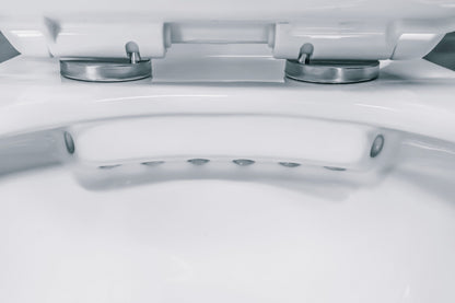 ALONI PRO HANGTOILET - RANDLOOS - MET ZITTING - THERMOPLAST (PP) - SOFT CLOSE - QUICK RELEASE - 35,5X41X54,5 CM - GLANZEND WIT
